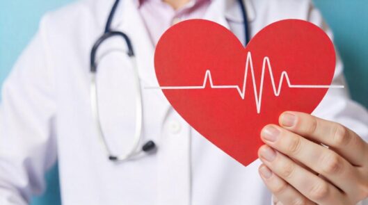 Сердечно-сосудистая система